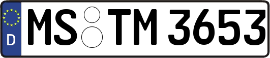 MS-TM3653