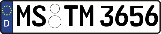 MS-TM3656