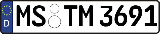 MS-TM3691