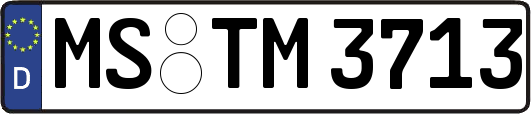 MS-TM3713