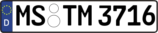 MS-TM3716