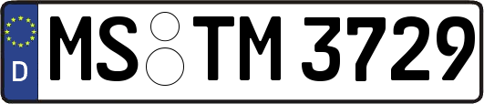 MS-TM3729