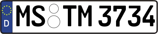 MS-TM3734