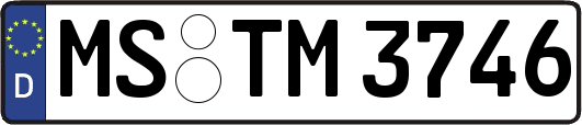 MS-TM3746