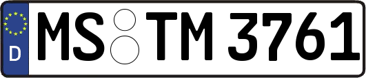 MS-TM3761