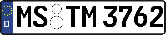 MS-TM3762