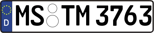 MS-TM3763
