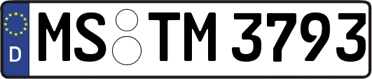MS-TM3793