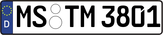 MS-TM3801