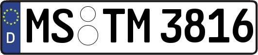 MS-TM3816