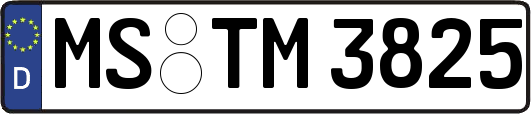 MS-TM3825