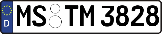 MS-TM3828