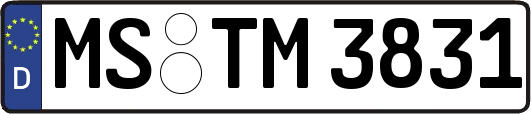 MS-TM3831