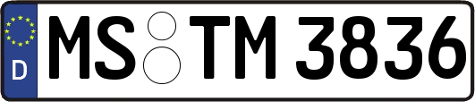 MS-TM3836