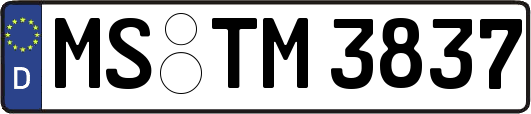 MS-TM3837