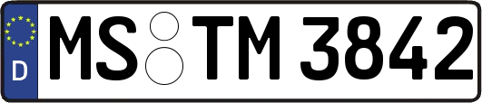 MS-TM3842