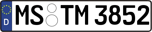 MS-TM3852