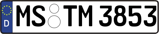 MS-TM3853