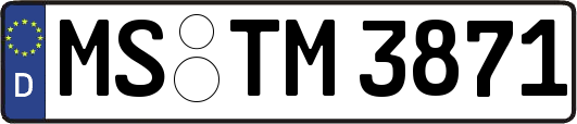 MS-TM3871