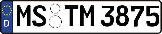 MS-TM3875