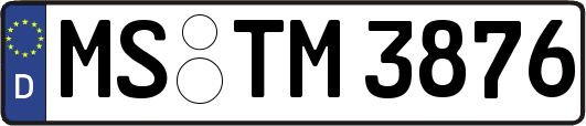 MS-TM3876