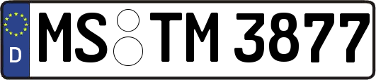 MS-TM3877
