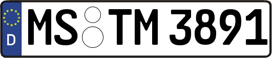 MS-TM3891
