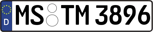 MS-TM3896