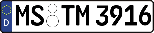 MS-TM3916
