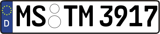 MS-TM3917