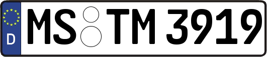 MS-TM3919