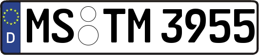 MS-TM3955