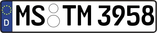 MS-TM3958