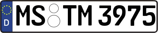 MS-TM3975