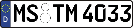 MS-TM4033
