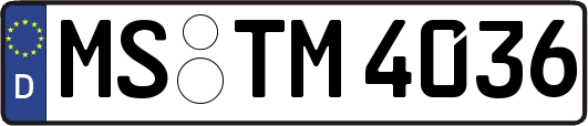 MS-TM4036