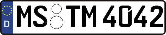 MS-TM4042