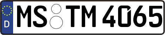 MS-TM4065
