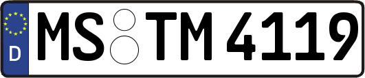 MS-TM4119