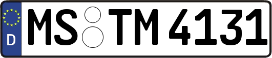 MS-TM4131