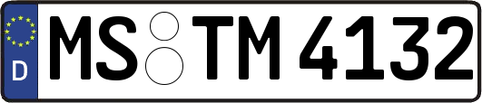 MS-TM4132
