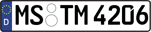 MS-TM4206