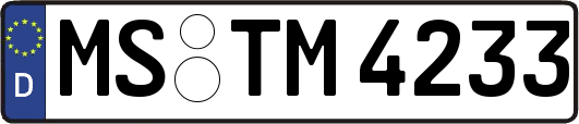 MS-TM4233