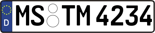 MS-TM4234