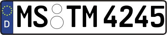 MS-TM4245