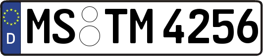 MS-TM4256