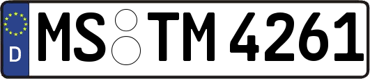 MS-TM4261