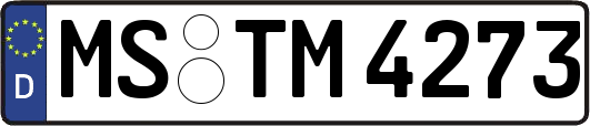 MS-TM4273