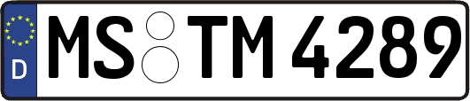 MS-TM4289