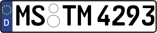 MS-TM4293